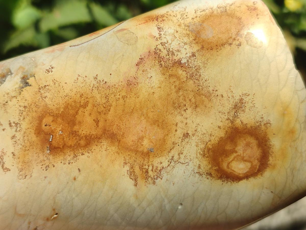 Polished Mix of Selected Multi Mineral Pieces x 2 From Madagascar