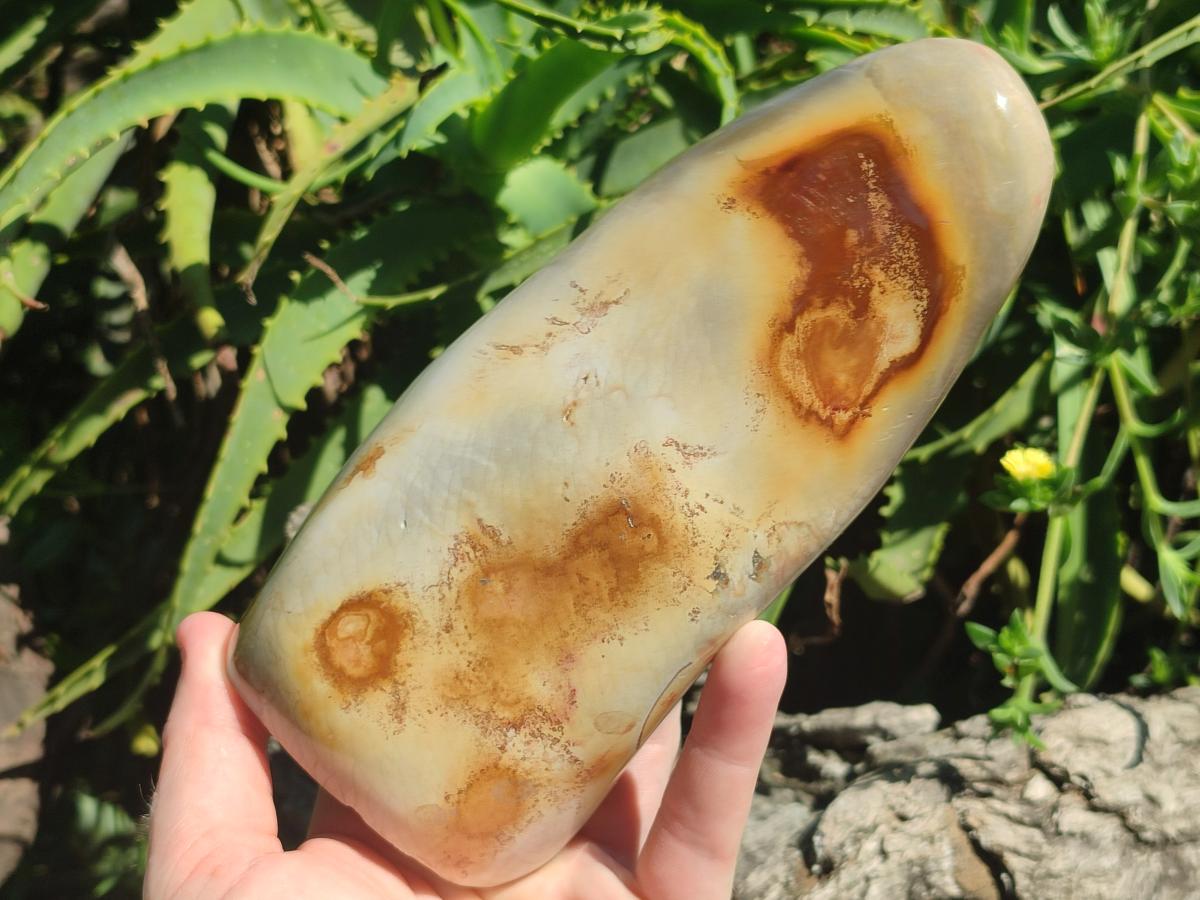 Polished Mix of Selected Multi Mineral Pieces x 2 From Madagascar