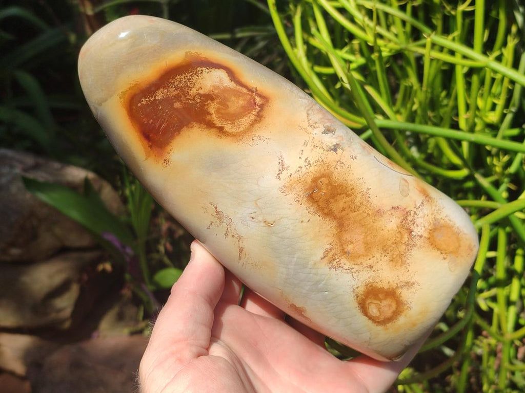 Polished Mix of Selected Multi Mineral Pieces x 2 From Madagascar