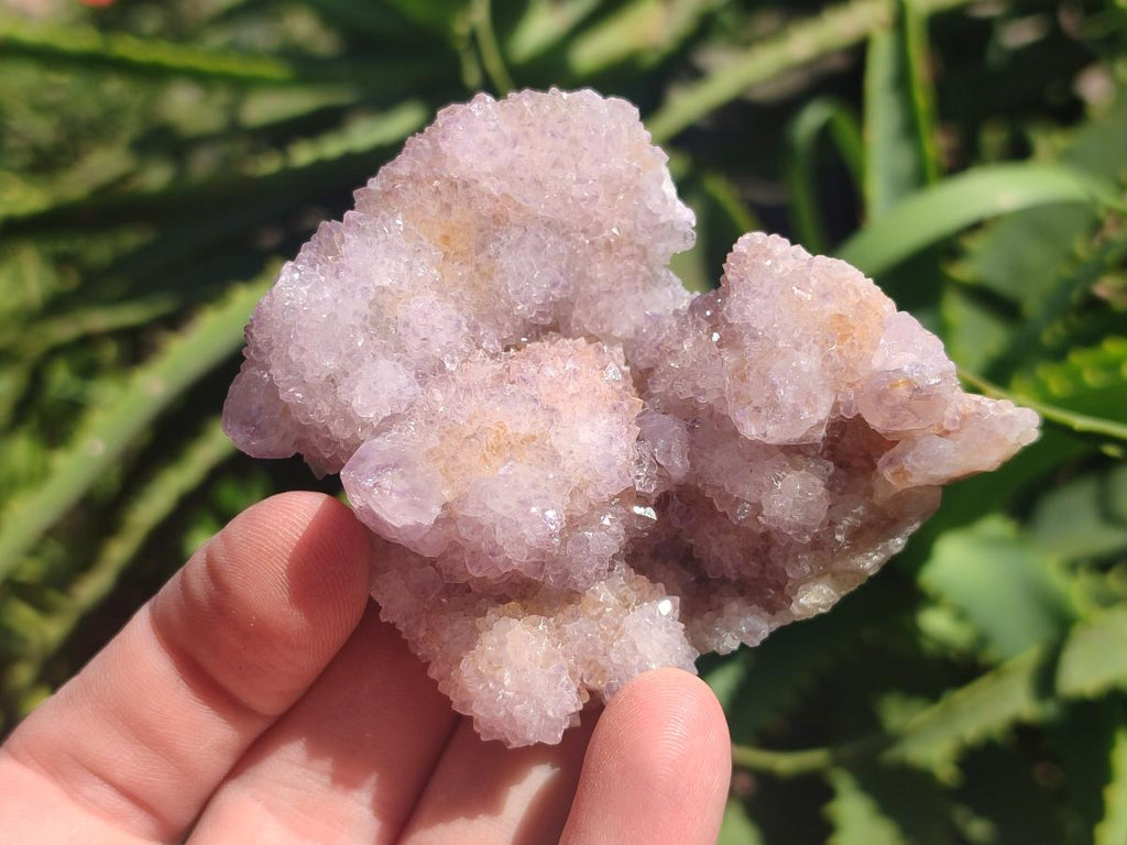 Natural Mix of Spirit Quartz Crystals and Clusters x 13 From Boekenhouthoek, South Africa