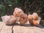 Natural Mix of Spirit Quartz Crystals and Clusters x 13 From Boekenhouthoek, South Africa