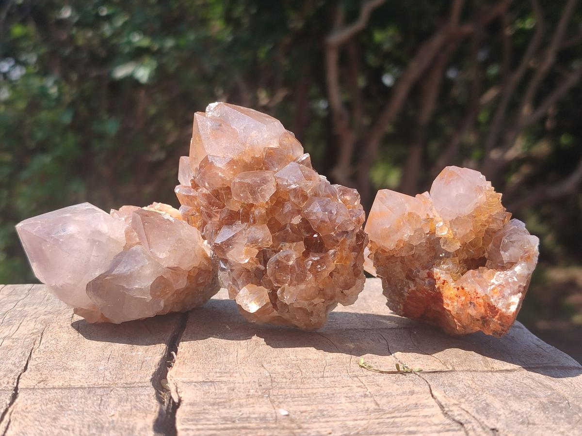 Natural Mix of Spirit Quartz Crystals and Clusters x 13 From Boekenhouthoek, South Africa
