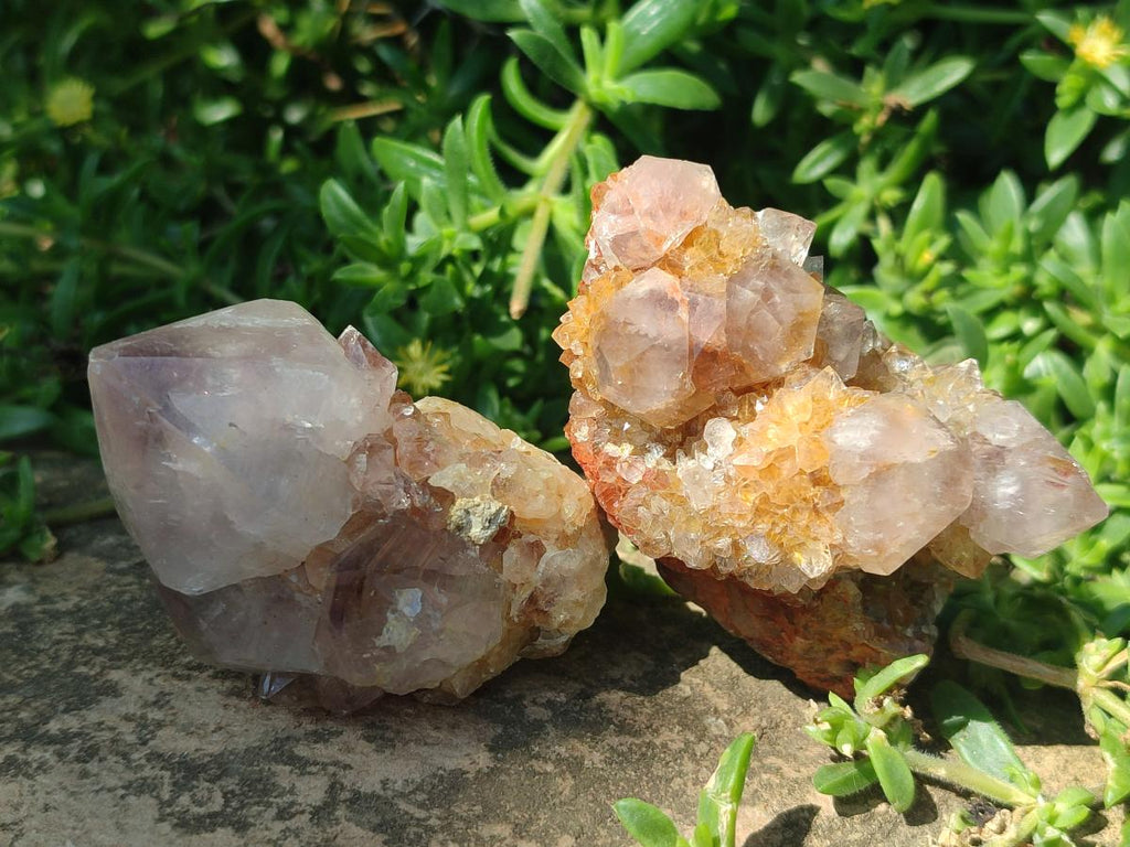 Natural Mix of Spirit Quartz Crystals and Clusters x 13 From Boekenhouthoek, South Africa