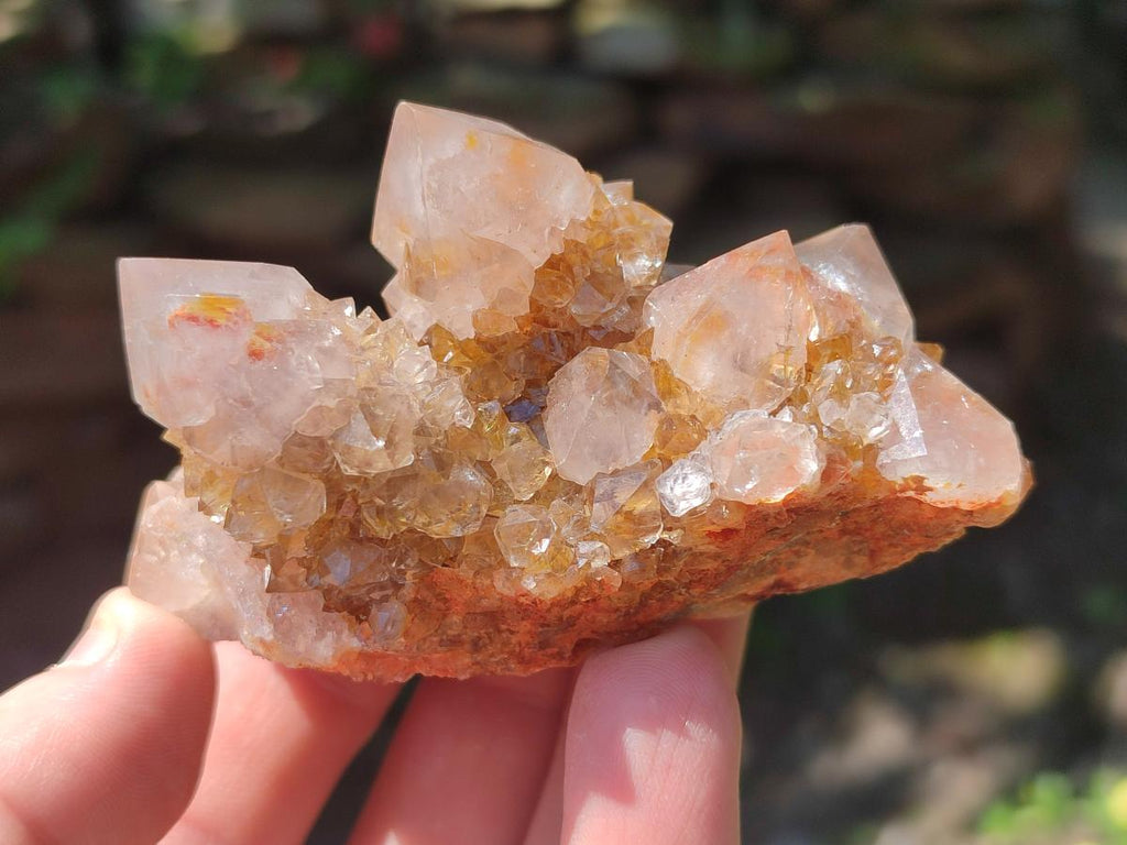 Natural Mix of Spirit Quartz Crystals and Clusters x 13 From Boekenhouthoek, South Africa