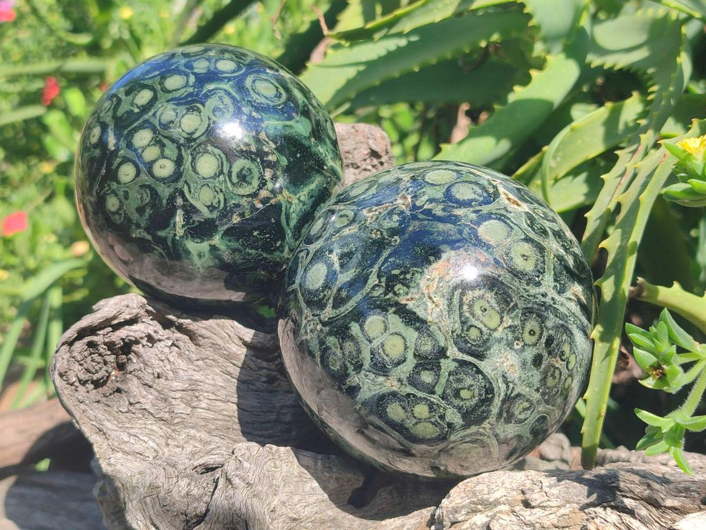 Polished Stromatolite "Kambamba Jasper" Spheres x 2 From Katsepy, Madagascar