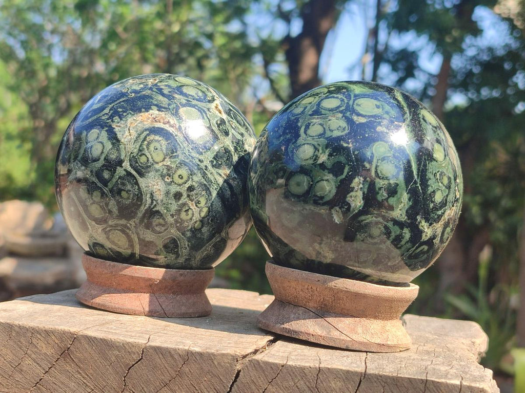 Polished Stromatolite "Kambamba Jasper" Spheres x 2 From Katsepy, Madagascar