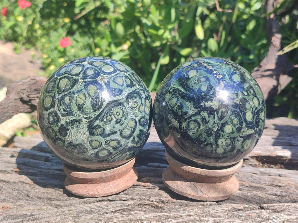 Polished Stromatolite "Kambamba Jasper" Spheres x 2 From Katsepy, Madagascar