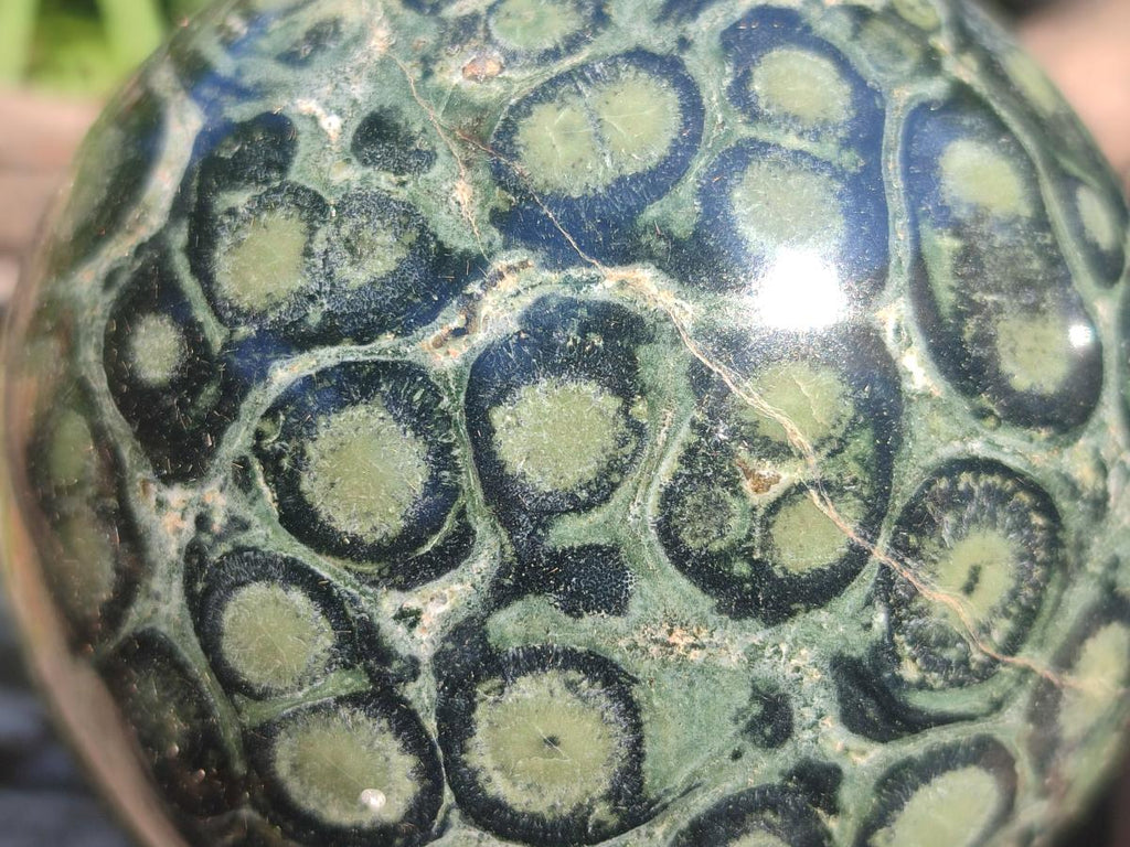 Polished Stromatolite "Kambamba Jasper" Spheres x 2 From Katsepy, Madagascar