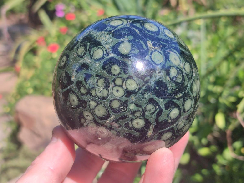 Polished Stromatolite "Kambamba Jasper" Spheres x 2 From Katsepy, Madagascar