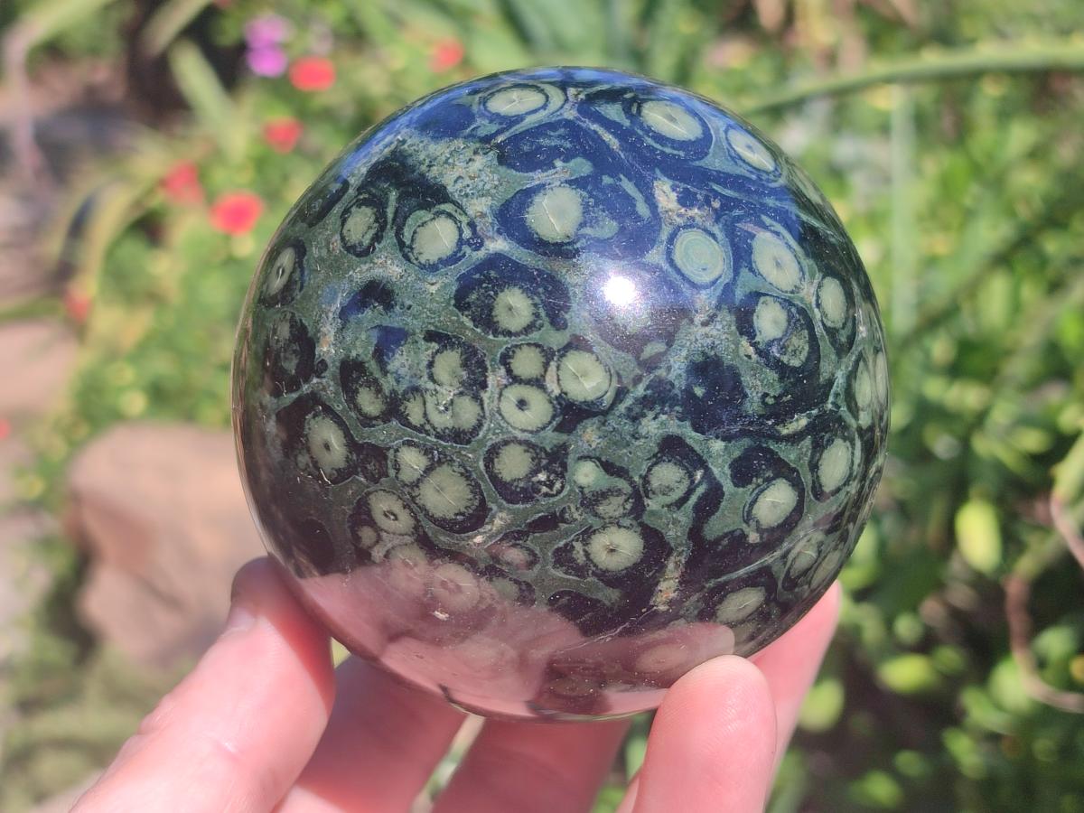 Polished Stromatolite "Kambamba Jasper" Spheres x 2 From Katsepy, Madagascar