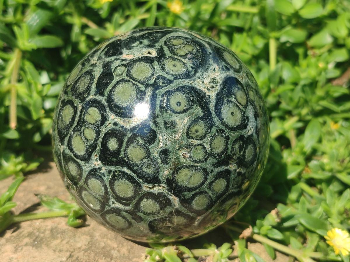 Polished Stromatolite "Kambamba Jasper" Spheres x 2 From Katsepy, Madagascar