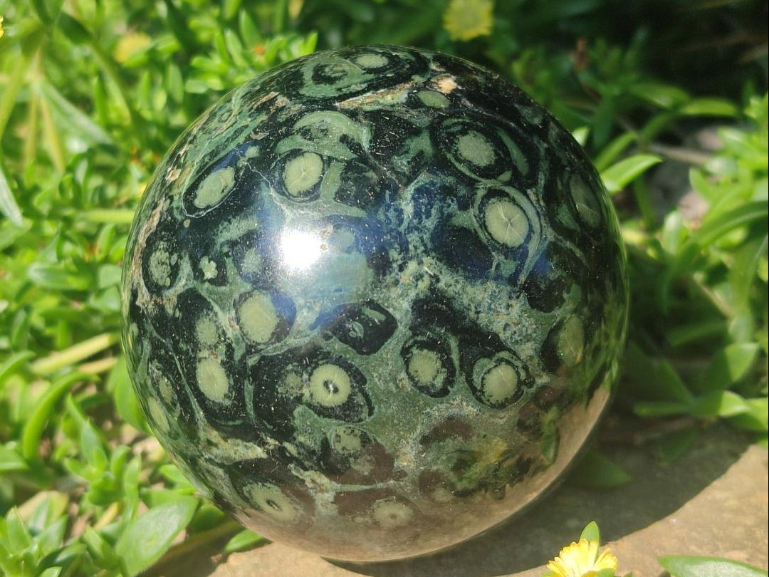 Polished Stromatolite "Kambamba Jasper" Spheres x 2 From Katsepy, Madagascar