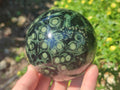 Polished Stromatolite "Kambamba Jasper" Spheres x 2 From Katsepy, Madagascar