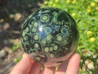 Polished Stromatolite "Kambamba Jasper" Spheres x 2 From Katsepy, Madagascar