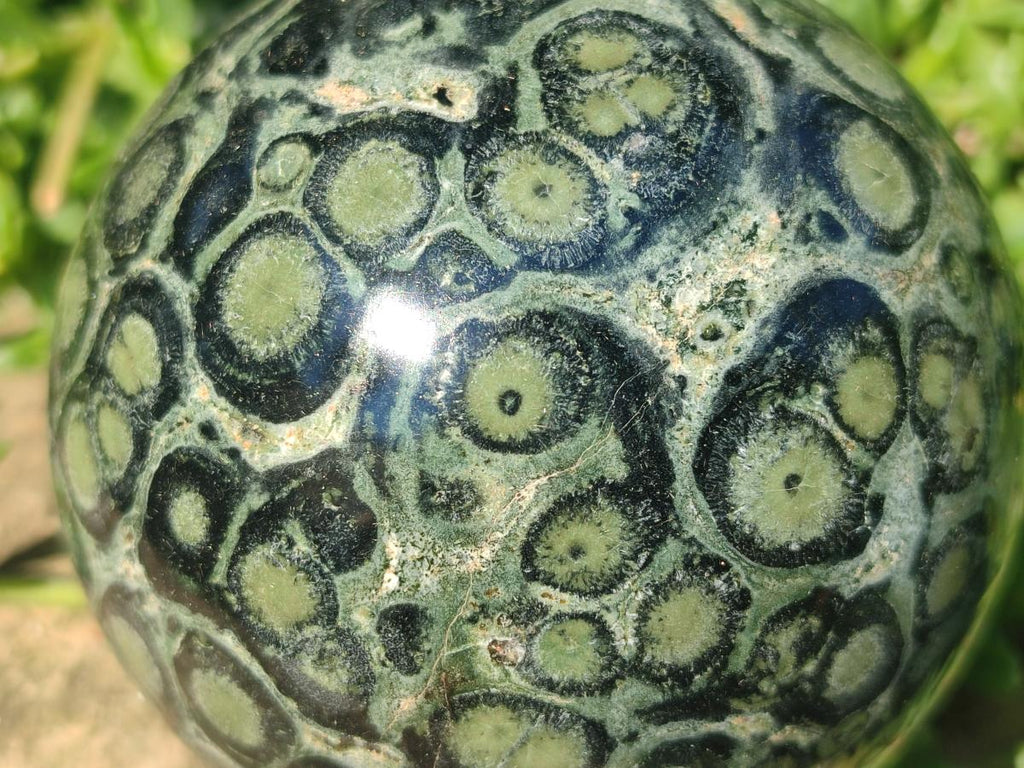 Polished Stromatolite "Kambamba Jasper" Spheres x 2 From Katsepy, Madagascar