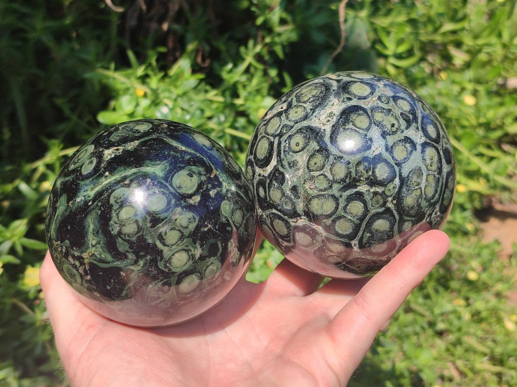Polished Stromatolite "Kambamba Jasper" Spheres x 2 From Katsepy, Madagascar
