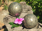 Polished Basalt Pharaoh Stone Spheres x 2 From Iron Duke Mine, Zimbabwe