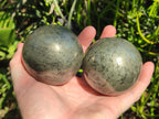 Polished Basalt Pharaoh Stone Spheres x 2 From Iron Duke Mine, Zimbabwe