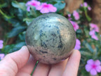 Polished Basalt Pharaoh Stone Spheres x 2 From Iron Duke Mine, Zimbabwe