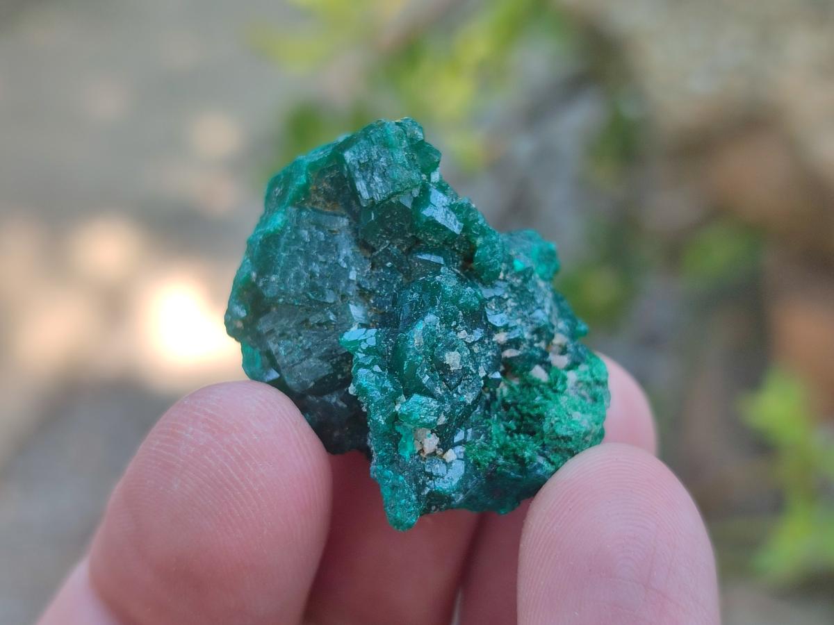 Natural Dioptase Specimens on Dolomite Matrix x 35 From Tantara Mine, Congo