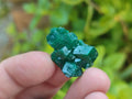 Natural Dioptase Specimens on Dolomite Matrix x 35 From Tantara Mine, Congo