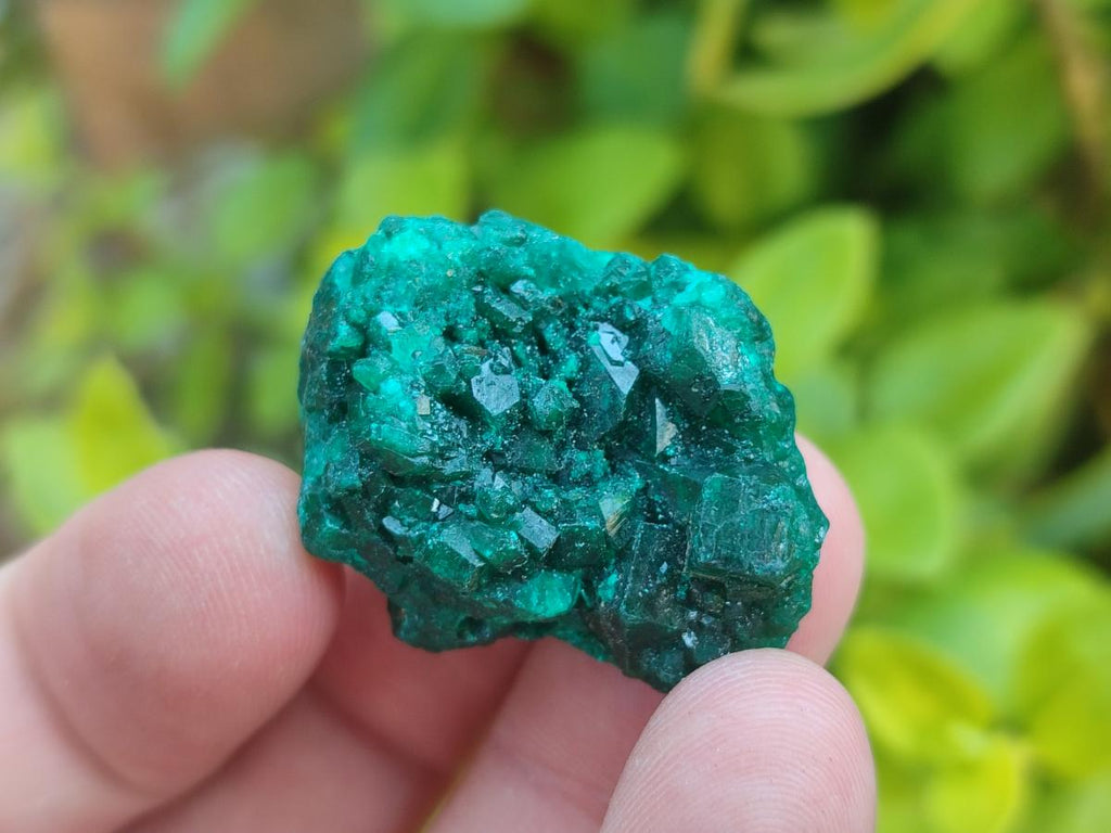 Natural Dioptase Specimens on Dolomite Matrix x 35 From Tantara Mine, Congo