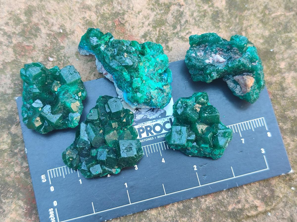 Natural Dioptase Specimens on Dolomite Matrix x 35 From Tantara Mine, Congo