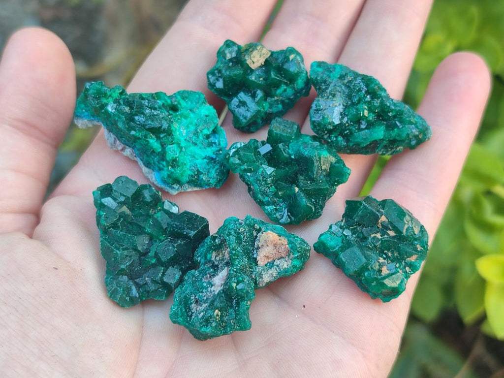 Natural Dioptase Specimens on Dolomite Matrix x 35 From Tantara Mine, Congo