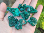 Natural Dioptase Specimens on Dolomite Matrix x 35 From Tantara Mine, Congo