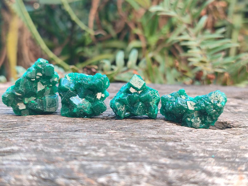 Natural Dioptase Specimens on Dolomite Matrix x 35 From Tantara Mine, Congo