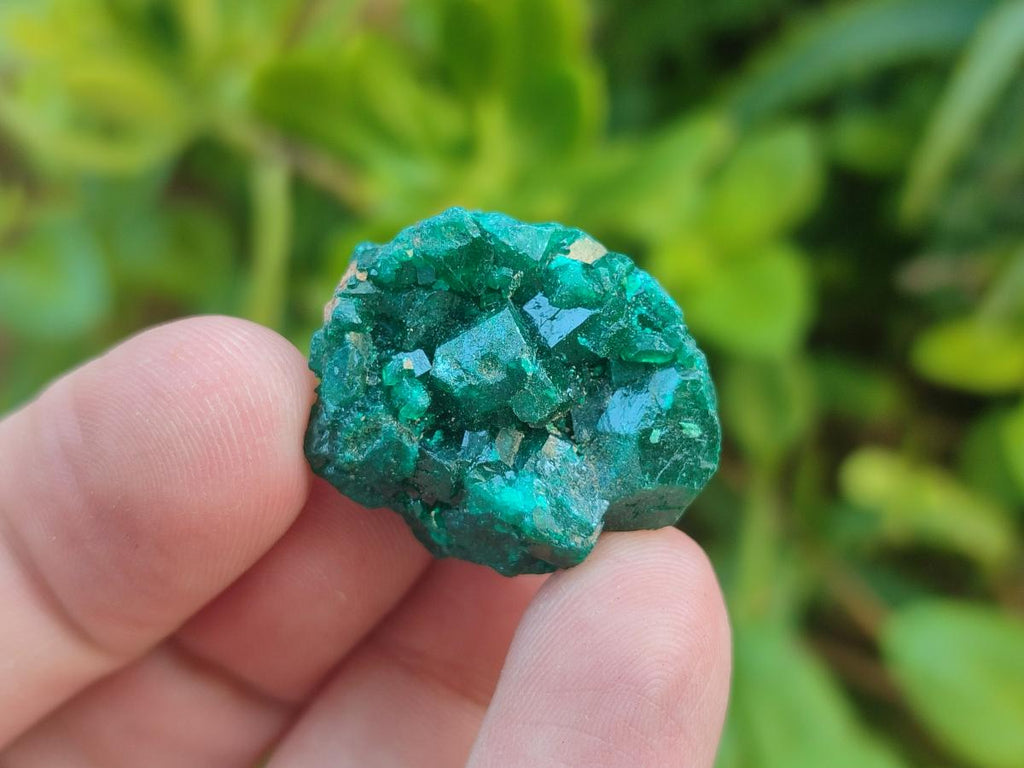 Natural Dioptase Specimens on Dolomite Matrix x 35 From Tantara Mine, Congo