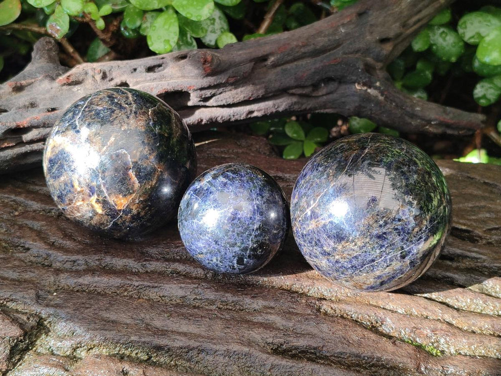 Polished Blue Iolite "Water Sapphire" Spheres x 3 From Madagascar