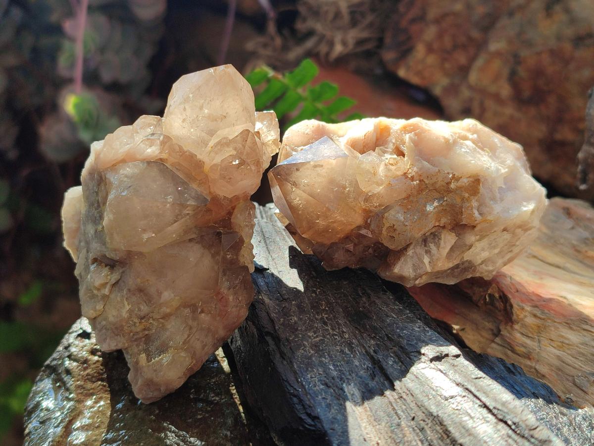 Natural Cascading White Phantom Smokey Luena Quartz Clusters x 6 From Luena, Congo - Toprock Gemstones and Minerals 