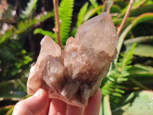 Natural Cascading White Phantom Smokey Luena Quartz Clusters x 6 From Luena, Congo