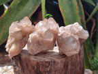 Natural Cascading White Phantom Smokey Luena Quartz Clusters x 6 From Luena, Congo - Toprock Gemstones and Minerals 