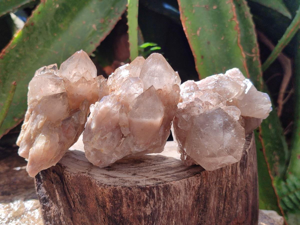 Natural Cascading White Phantom Smokey Luena Quartz Clusters x 6 From Luena, Congo - Toprock Gemstones and Minerals 