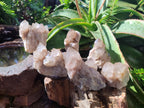 Natural Cascading White Phantom Smokey Luena Quartz Clusters x 6 From Luena, Congo - Toprock Gemstones and Minerals 
