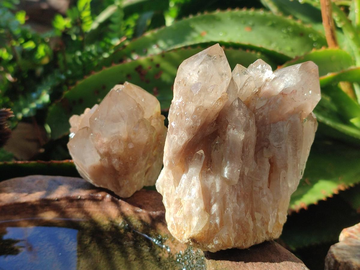 Natural Cascading White Phantom Smokey Luena Quartz Clusters x 6 From Luena, Congo - Toprock Gemstones and Minerals 