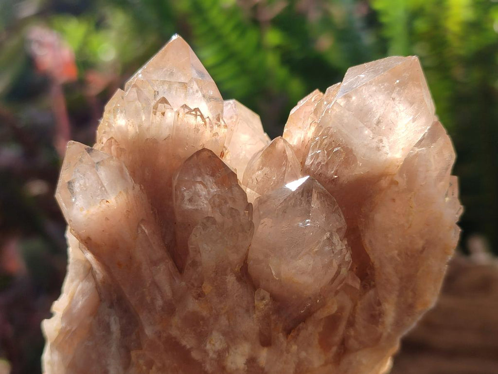 Natural Cascading White Phantom Smokey Luena Quartz Clusters x 6 From Luena, Congo - Toprock Gemstones and Minerals 
