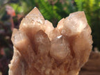 Natural Cascading White Phantom Smokey Luena Quartz Clusters x 6 From Luena, Congo - Toprock Gemstones and Minerals 