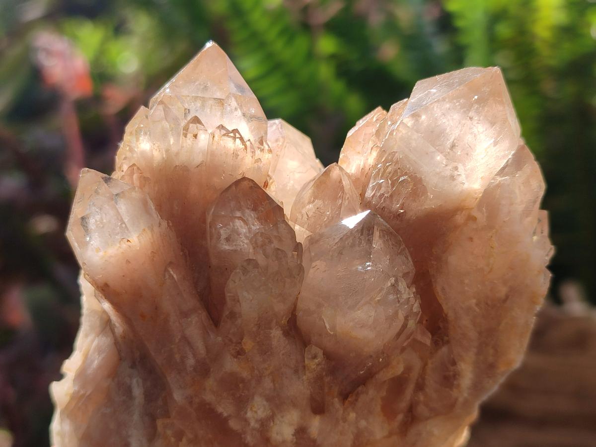 Natural Cascading White Phantom Smokey Luena Quartz Clusters x 6 From Luena, Congo - Toprock Gemstones and Minerals 