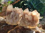 Natural Cascading White Phantom Smokey Luena Quartz Clusters x 6 From Luena, Congo - Toprock Gemstones and Minerals 