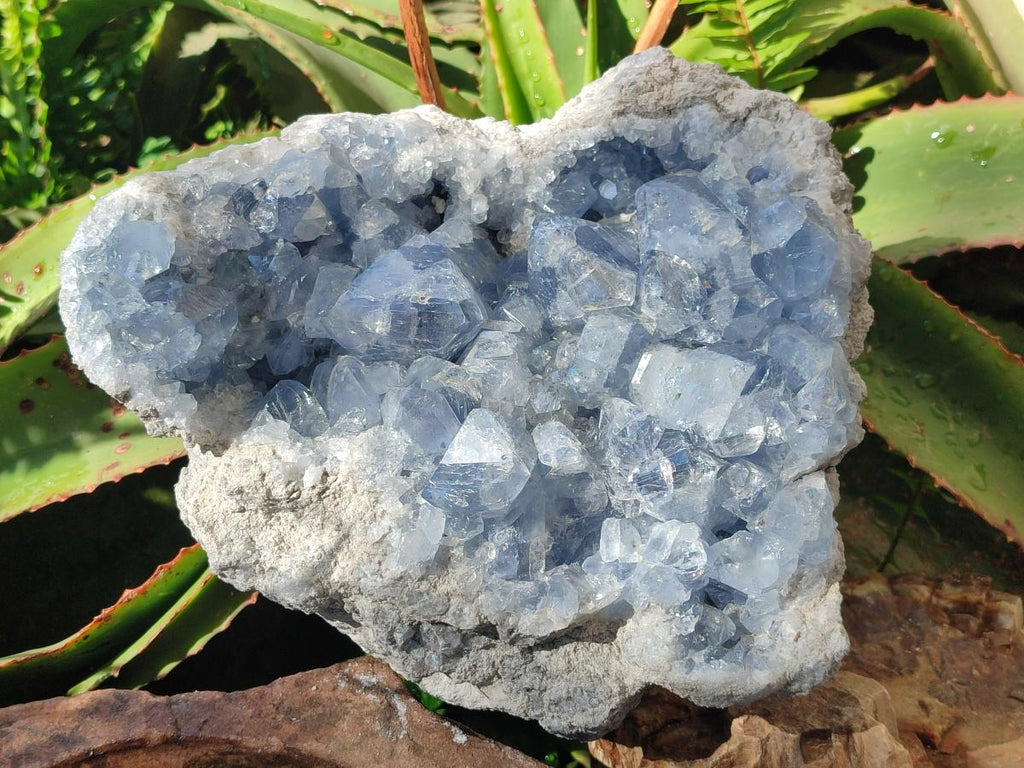 Natural Large Blue Celestite Specimen x 1 From Sakoany, Madagascar
