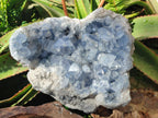 Natural Large Blue Celestite Specimen x 1 From Sakoany, Madagascar