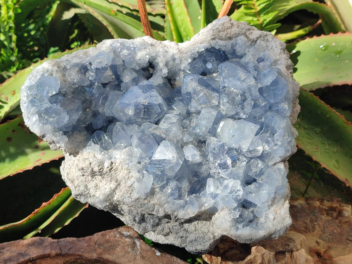 Natural Large Blue Celestite Specimen x 1 From Sakoany, Madagascar