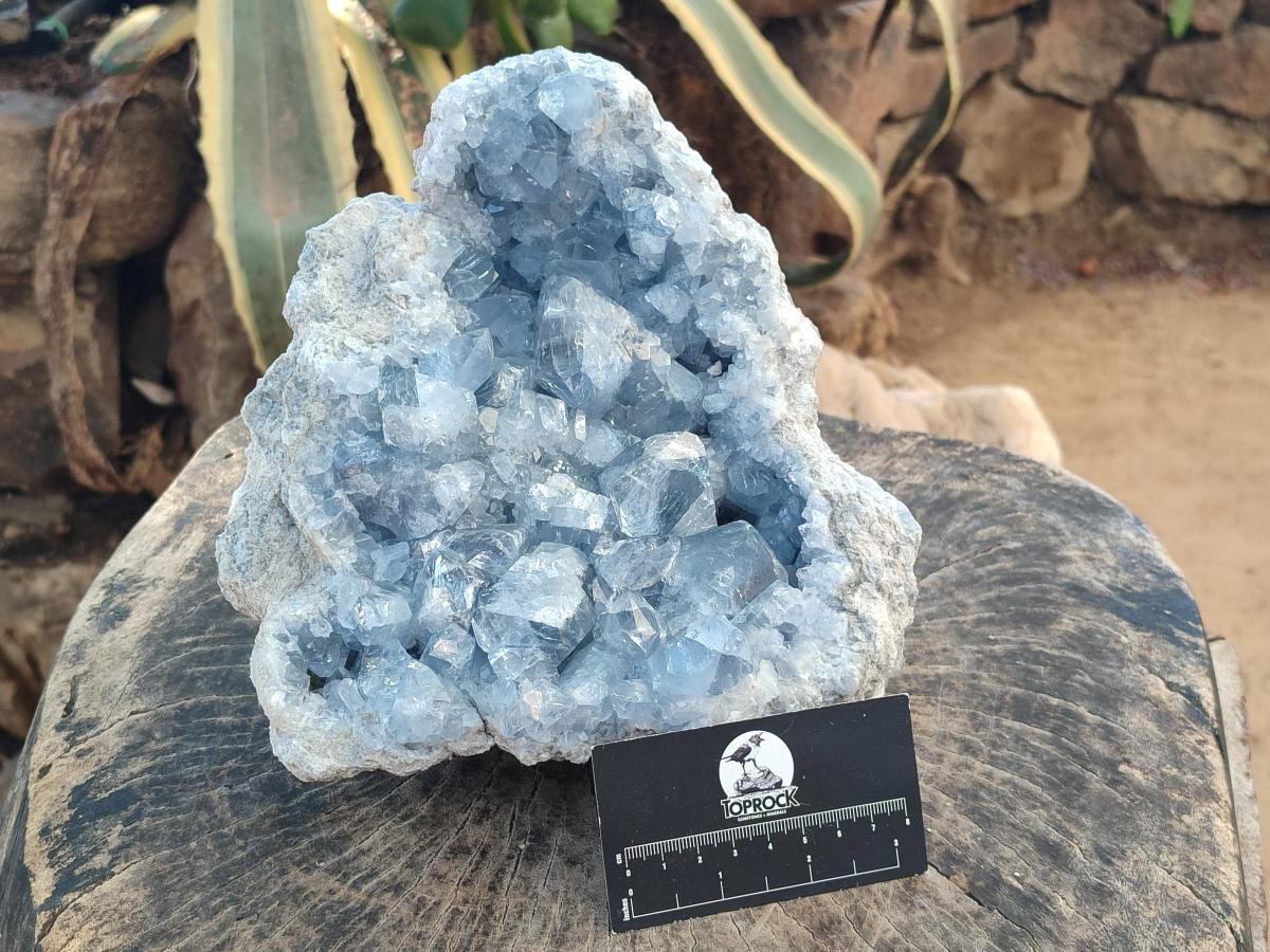 Natural Large Blue Celestite Specimen x 1 From Sakoany, Madagascar