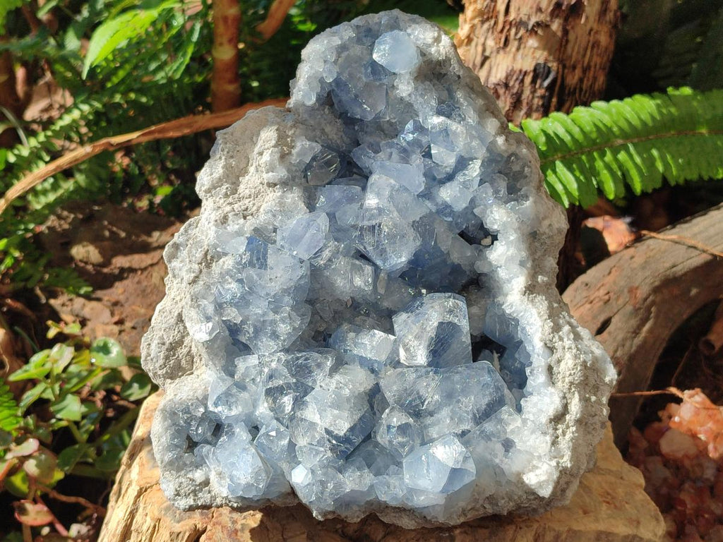 Natural Large Blue Celestite Specimen x 1 From Sakoany, Madagascar