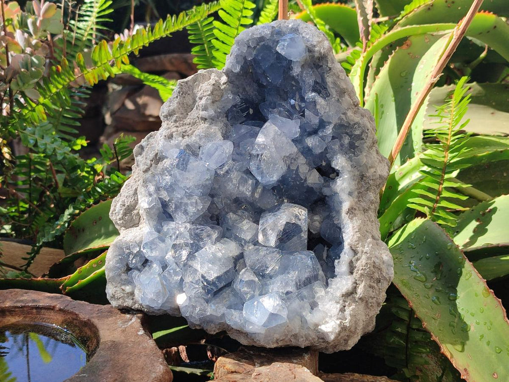 Natural Large Blue Celestite Specimen x 1 From Sakoany, Madagascar