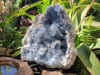 Natural Large Blue Celestite Specimen x 1 From Sakoany, Madagascar