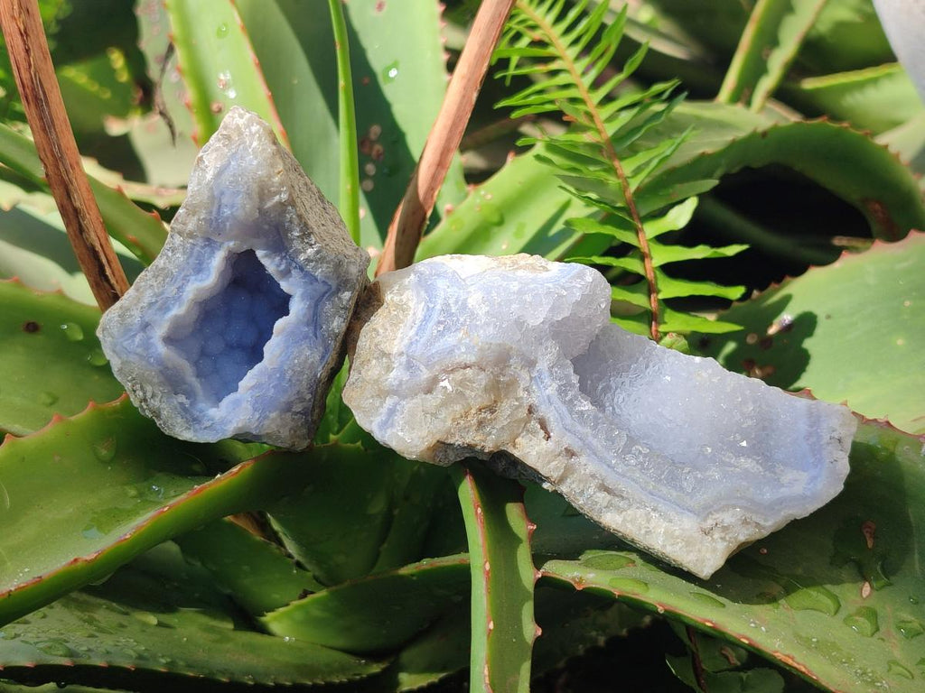 Natural Blue Lace Agate Geode Specimens x 24 From Nsanje, Malawi
